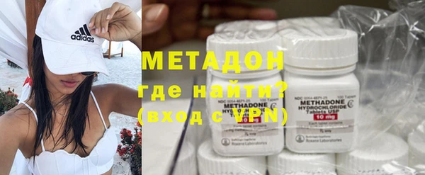 шишки Абаза