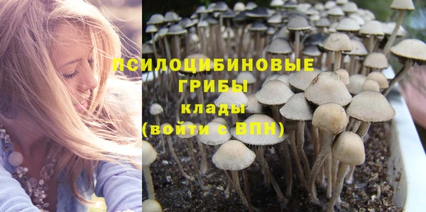 амфетамин Алексин