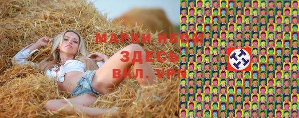 шишки Абаза