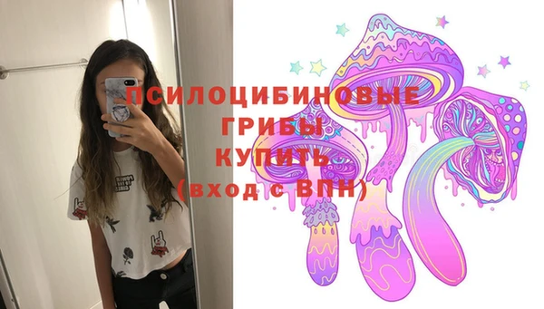 прущие крисы Переславль-Залесский
