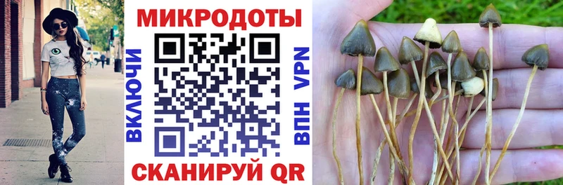Галлюциногенные грибы мухоморы  Троицк 