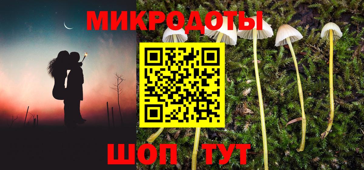 Псилоцибиновые грибы Psilocybe  Псилоцибиновые грибы мицелий  Вход с VPN  Троицк 